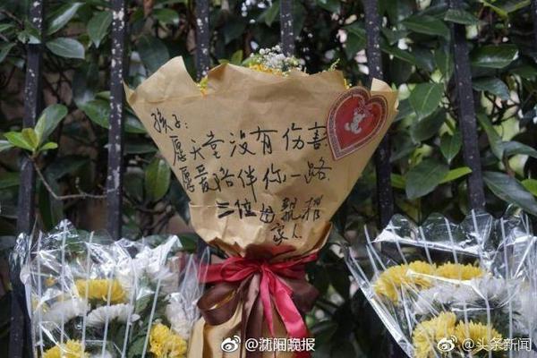 月球种菜是什么梗